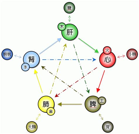 五行個性|五行人格:理論簡介,套用價值,理論基礎,身形特徵,性格特徵,養生表,。